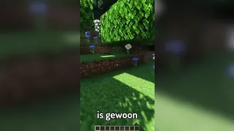 Minecraft, Maar Je Mag NIET De Kleur BLAUW AANRAKEN! #Shorts