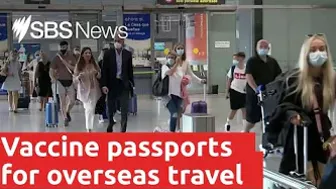 Vaccine passports for overseas travel to be available for Australians from next month I SBS News