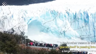 Top 5 Incredible Glacier Calving Compilation!????