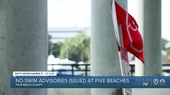 No swim advisories posted at 6 Palm Beach County beaches