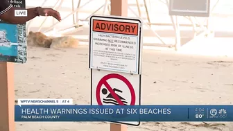 Poor water quality prompt advisories at 6 beaches in Palm Beach County