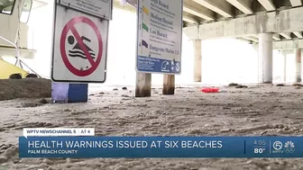 Poor water quality prompt advisories at 6 beaches in Palm Beach County