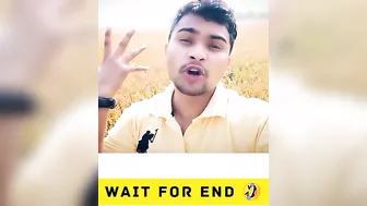 लंगूर के हाथ में अंगूर ???? Instagram reels roast ???? nibba nibbi roast ???? reels roast ???? tiktok #shorts