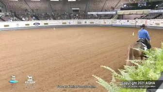 2021 AQHA Pleasure Versatility Challenge