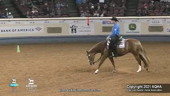 2021 AQHA Pleasure Versatility Challenge