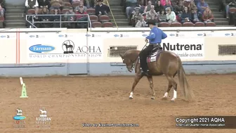 2021 AQHA Pleasure Versatility Challenge