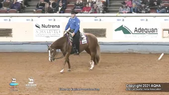 2021 AQHA Pleasure Versatility Challenge