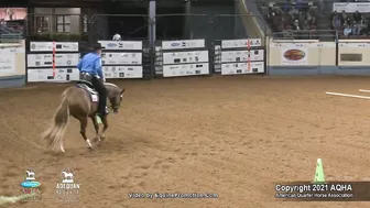 2021 AQHA Pleasure Versatility Challenge