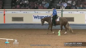 2021 AQHA Pleasure Versatility Challenge