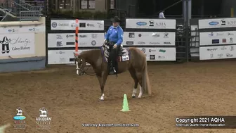 2021 AQHA Pleasure Versatility Challenge