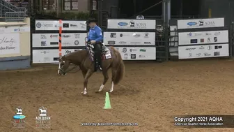 2021 AQHA Pleasure Versatility Challenge