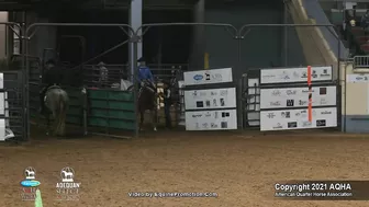 2021 AQHA Pleasure Versatility Challenge