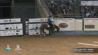 2021 AQHA Pleasure Versatility Challenge