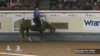 2021 AQHA Pleasure Versatility Challenge