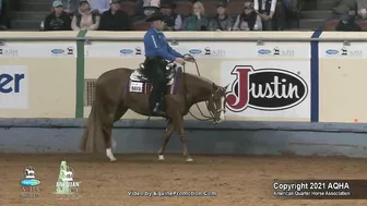 2021 AQHA Pleasure Versatility Challenge