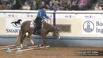 2021 AQHA Pleasure Versatility Challenge