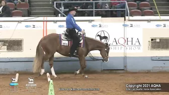 2021 AQHA Pleasure Versatility Challenge