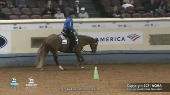 2021 AQHA Pleasure Versatility Challenge