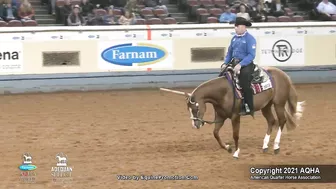 2021 AQHA Pleasure Versatility Challenge