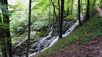 TRAVEL HERE | Plitvice Lakes National Park, Croatia