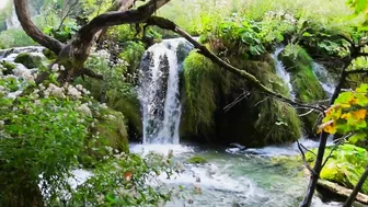 TRAVEL HERE | Plitvice Lakes National Park, Croatia