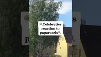 Celebrities' Funny Reaction to Paparazzi TikTok: idontwant.tobefound