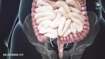 How your body turns food into the poo Human digestion system in human beings|with english subtitle