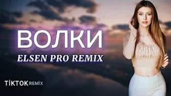 Elsen Pro - Волки ( Tiktok Remix )