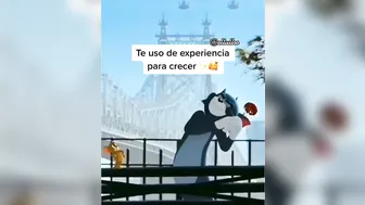 ????Las mejores frases Aesthetic de Tik Tok/2021????