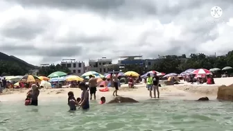 Beach Hoping/Anong makikita sa Beach