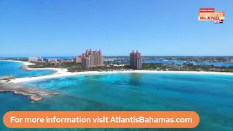 The Travel Mom in the Bahamas | Morning Blend