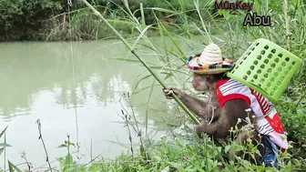 Funny Abu Goes Fishing To Feed Dog Bingo