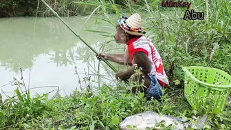 Funny Abu Goes Fishing To Feed Dog Bingo