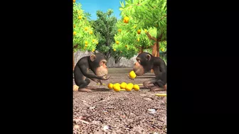 Gorilla mango fruits ang monkey funny video