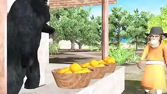 Gorilla mango fruits ang monkey funny video