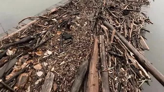 Cultus Lake Beaches Destroyed By Flood | 4K | Storm Havoc Leaves Massive Debris & Costly Cleanup