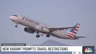 New 'Omicron' COVID-19 Variant Prompts Travel Ban for Several Countries | NBCLA