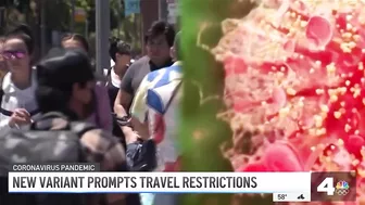 New 'Omicron' COVID-19 Variant Prompts Travel Ban for Several Countries | NBCLA