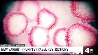 New 'Omicron' COVID-19 Variant Prompts Travel Ban for Several Countries | NBCLA