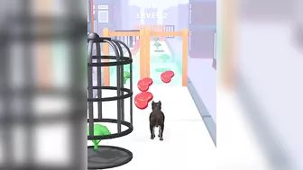 Pet Evolution Run ???????????? All Levels Gameplay Trailer Android,ios New Game