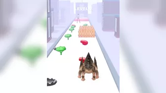 Pet Evolution Run ???????????? All Levels Gameplay Trailer Android,ios New Game