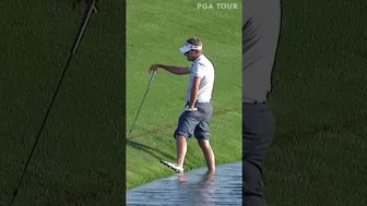 Slippery shot, awesome reaction ????