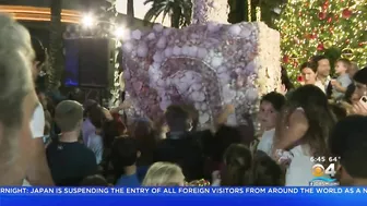 Miami Beach Celebrates Start Of Hanukkah By Lighting Sea Shell Menorah