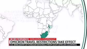 U.S. bans travel from several southern African countries due to new COVID variant Omicron