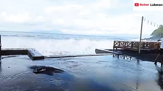 News, Gelombang Besar Hantam Wisata Sulamadaha Beach, Masyarakat Panik Pindahkan Gajebo