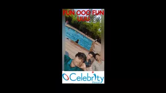 Celebrity resort ????Vlog #fun #vlog #resort