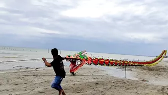 Dragon Kite Broken Heart at Cemara Beach Tuban