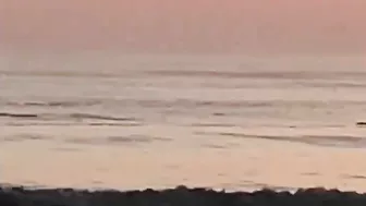 Man spotted swimming with dolphins in Jax Beach