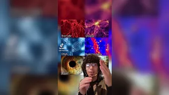 Fractal Patterns indigobruno tiktok