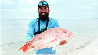 Red Snapper From the BEACH!!